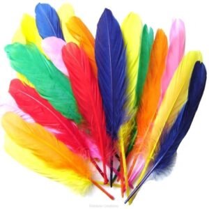 Multicolored Feathers - Pack of 10
