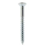 Zara GI Wood Screw 10x2-1/2" - 100pcs